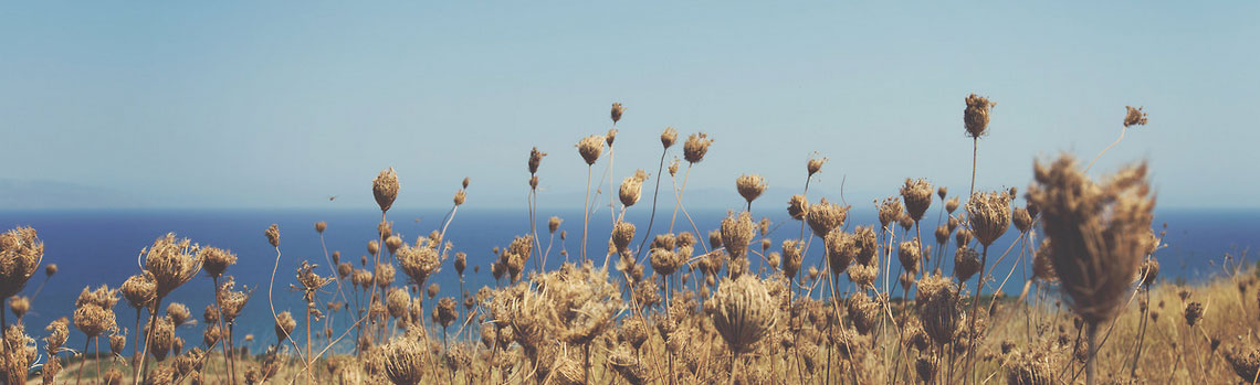 电话短信轰在线轰炸免费